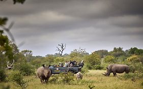 Motswari Lodge Timbavati